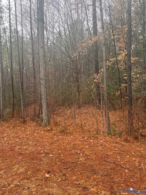 Tiny photo for 26399 Cherry Hill Rd RD, Mc Kenney, VA 23872 (MLS # 2623503)