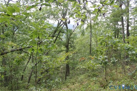 Tiny photo for TBD Fox Run Lane, Waynesboro, VA 22980 (MLS # 2523214)