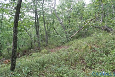 Tiny photo for TBD Fox Run Lane, Waynesboro, VA 22980 (MLS # 2523214)