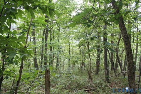 Tiny photo for TBD Fox Run Lane, Waynesboro, VA 22980 (MLS # 2523214)