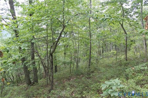 Tiny photo for TBD Fox Run Lane, Waynesboro, VA 22980 (MLS # 2523214)