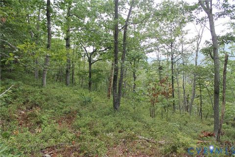 Tiny photo for TBD Fox Run Lane, Waynesboro, VA 22980 (MLS # 2523214)