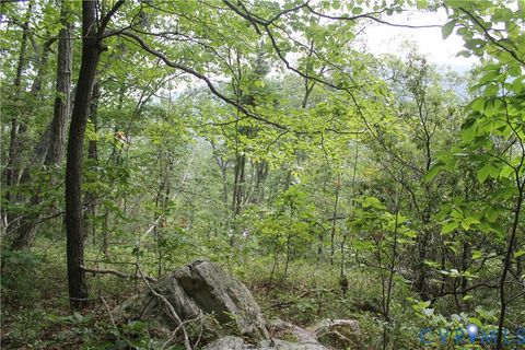 Tiny photo for TBD Fox Run Lane, Waynesboro, VA 22980 (MLS # 2523214)