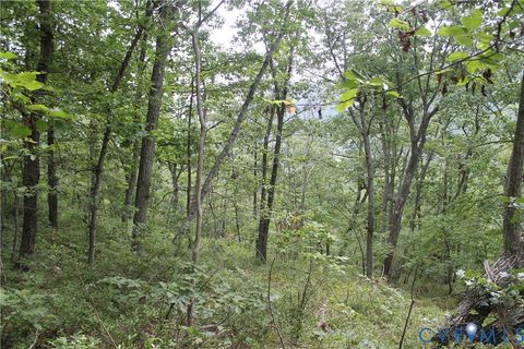 Tiny photo for TBD Fox Run Lane, Waynesboro, VA 22980 (MLS # 2523214)
