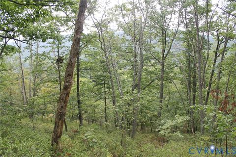 Tiny photo for TBD Fox Run Lane, Waynesboro, VA 22980 (MLS # 2523214)