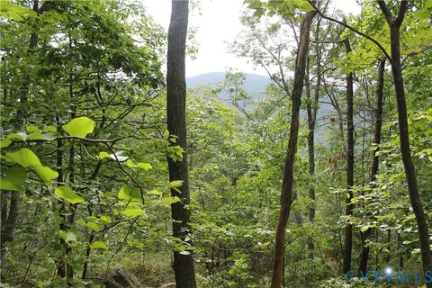 Tiny photo for TBD Fox Run Lane, Waynesboro, VA 22980 (MLS # 2523214)
