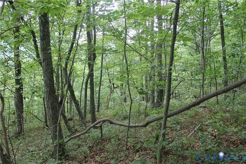Tiny photo for TBD Fox Run Lane, Waynesboro, VA 22980 (MLS # 2523214)