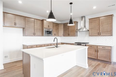 Photo of 18732 Palisades Cove Trail, Moseley, VA 23120 (MLS # 2606388)