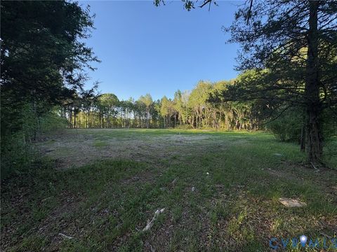 Photo of 164 Summer Lane, Shacklefords, VA 23110 (MLS # 2610347)