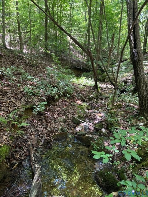 Tiny photo for Lot 3 Red Bird Drive, Gladstone, VA 24553 (MLS # 2626590)