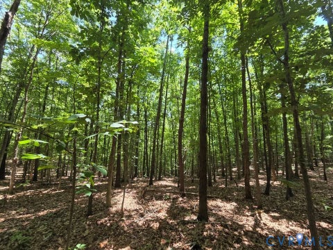 Tiny photo for Lot 3 Red Bird Drive, Gladstone, VA 24553 (MLS # 2626590)