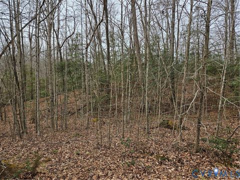 Tiny photo for 9905 Old Dirt Road, New Kent, VA 23124 (MLS # 2605915)