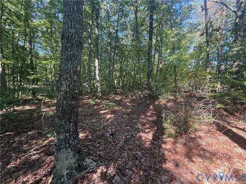 Tiny photo for Lot 5 Dixie Hill Road, Buckingham, VA 23921 (MLS # 2624970)