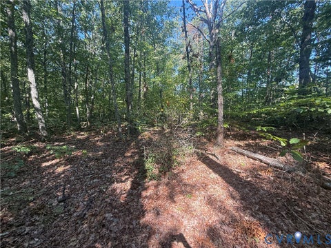 Tiny photo for Lot 5 Dixie Hill Road, Buckingham, VA 23921 (MLS # 2624970)