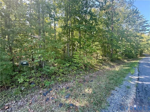 Tiny photo for Lot 5 Dixie Hill Road, Buckingham, VA 23921 (MLS # 2624970)