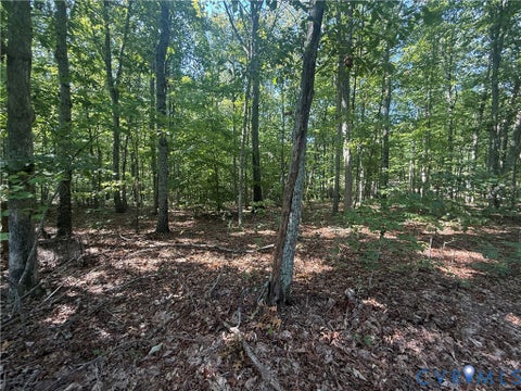 Tiny photo for Lot 5 Dixie Hill Road, Buckingham, VA 23921 (MLS # 2624970)