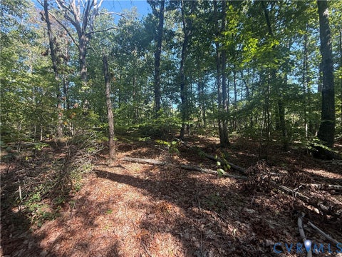 Photo of Lot 5 Dixie Hill Road, Buckingham, VA 23921 (MLS # 2624970)
