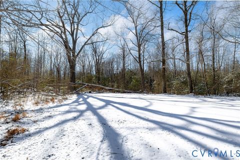 Tiny photo for 7280 Barnetts Road, Charles City, VA 23030 (MLS # 2603493)