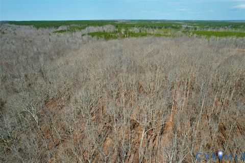 Tiny photo for 1225 Beech Forest Road, Kenbridge, VA 23944 (MLS # 2605662)