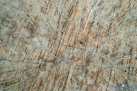 Tiny photo for 1225 Beech Forest Road, Kenbridge, VA 23944 (MLS # 2605662)