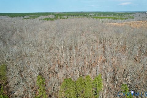 Tiny photo for 1225 Beech Forest Road, Kenbridge, VA 23944 (MLS # 2605662)