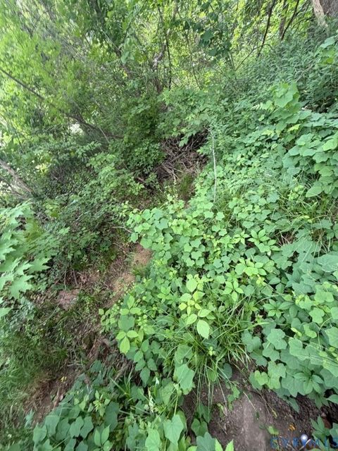 Tiny photo for 0 N Virginia Street, Farmville, VA 23901 (MLS # 2612893)