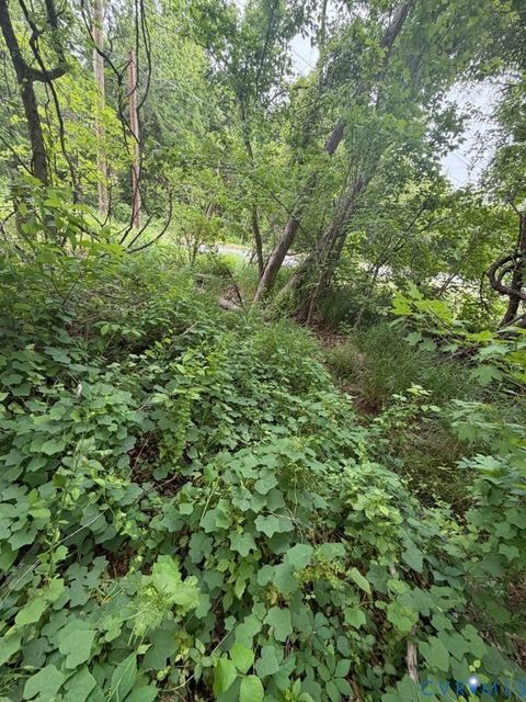Tiny photo for 0 N Virginia Street, Farmville, VA 23901 (MLS # 2612893)