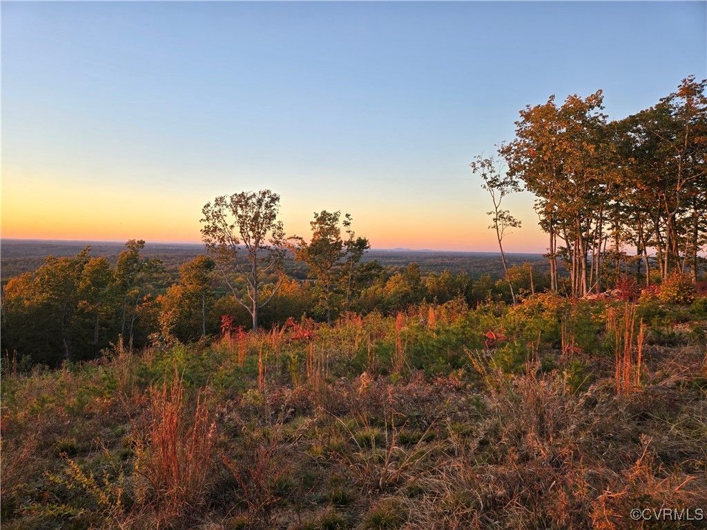 Photo for 0000 Mountain Creek Rd, Green Bay, VA 23942 (MLS # 2510292)