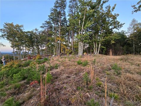 Tiny photo for 0000 Mountain Creek Rd, Green Bay, VA 23942 (MLS # 2510292)