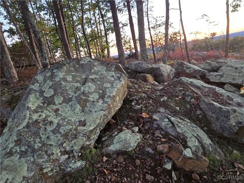 Tiny photo for 0000 Mountain Creek Rd, Green Bay, VA 23942 (MLS # 2510292)