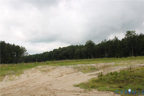 Tiny photo for TBD4 Black Branch Road, Stony Creek, VA 23882 (MLS # 2618416)
