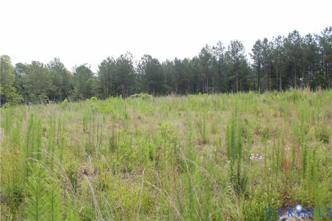 Tiny photo for TBD4 Black Branch Road, Stony Creek, VA 23882 (MLS # 2618416)