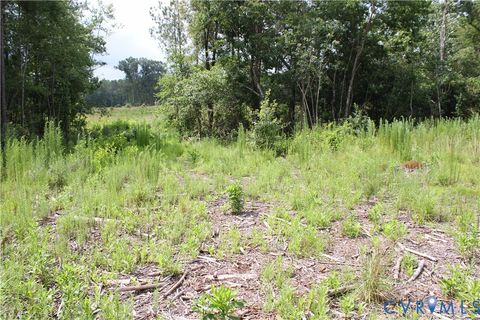 Tiny photo for TBD4 Black Branch Road, Stony Creek, VA 23882 (MLS # 2618416)