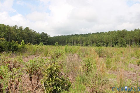 Tiny photo for TBD4 Black Branch Road, Stony Creek, VA 23882 (MLS # 2618416)
