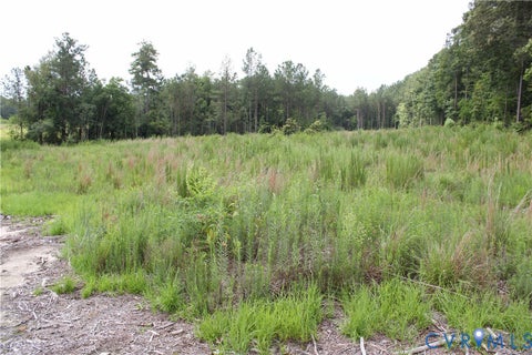 Tiny photo for TBD4 Black Branch Road, Stony Creek, VA 23882 (MLS # 2618416)