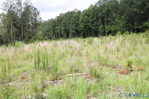 Tiny photo for TBD4 Black Branch Road, Stony Creek, VA 23882 (MLS # 2618416)