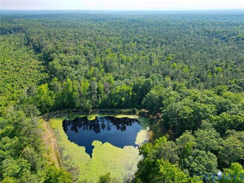 Tiny photo for 13601 River Road, Chesterfield, VA 23838 (MLS # 2530736)