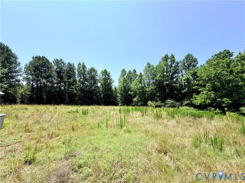 Tiny photo for 890 Mechanic Drive, Dolphin, VA 23843 (MLS # 2617760)