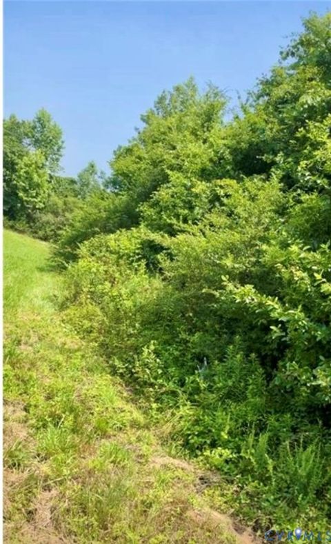 Tiny photo for 5 Morgan Circle Road, Nottoway, VA 23824 (MLS # 2620276)