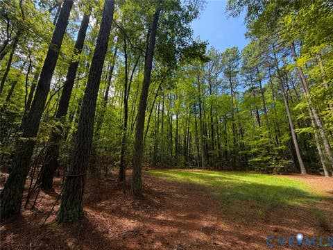 Photo of 0 Robinson Lane, Topping, VA 23169 (MLS # 2621372)
