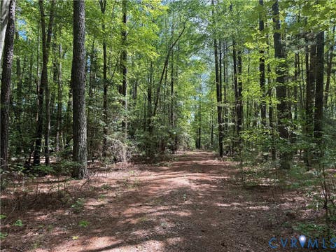 Tiny photo for 0 Robinson Lane, Topping, VA 23169 (MLS # 2621372)