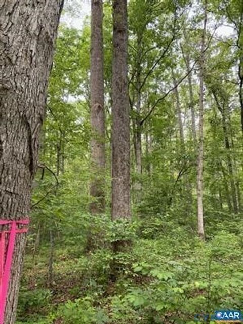 Tiny photo for Lot 2 Waldrop Church Road, Louisa, VA 23093 (MLS # 2529101)