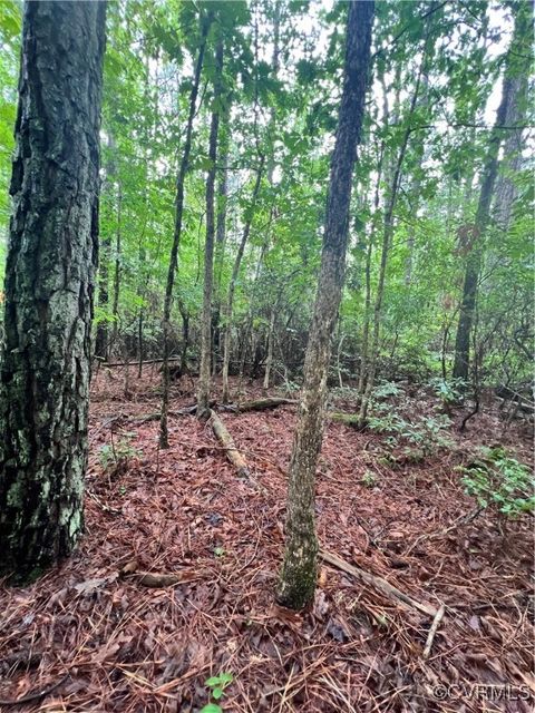 Photo of TBD Canaan Road, King William, VA 23086 (MLS # 2426832)