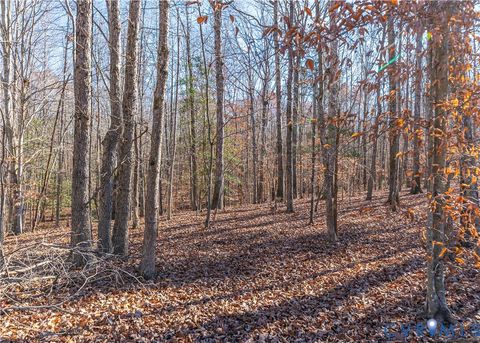 Photo of 05 Polebridge, Powhatan, VA 23139 (MLS # 2533940)