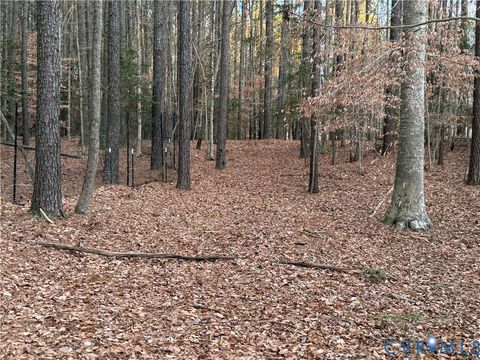 Tiny photo for 13441 Morris Creek Crescent, Charles City, VA 23030 (MLS # 2601727)