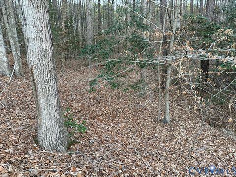 Tiny photo for 13441 Morris Creek Crescent, Charles City, VA 23030 (MLS # 2601727)