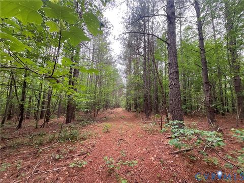 Tiny photo for XX W James Anderson Highway, Gladstone, VA 24553 (MLS # 2610757)