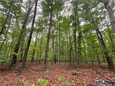 Tiny photo for XX W James Anderson Highway, Gladstone, VA 24553 (MLS # 2610757)