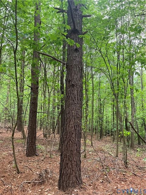 Tiny photo for XX W James Anderson Highway, Gladstone, VA 24553 (MLS # 2610757)