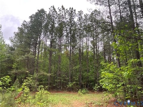 Tiny photo for XX W James Anderson Highway, Gladstone, VA 24553 (MLS # 2610757)